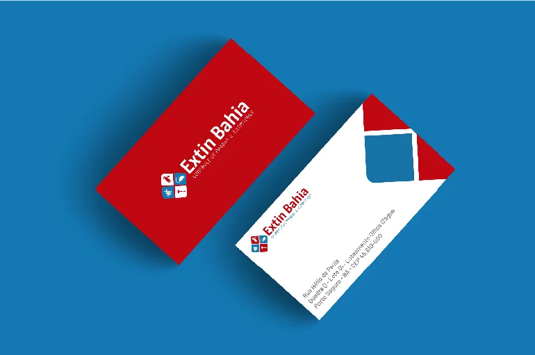 extinbahia-portfolio-cartao